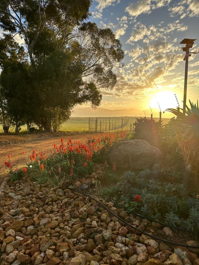 Primo Farm Apartment Paarl Bagian luar foto